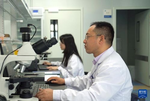 新华全媒 我国科研团队首次构建泛癌种脉管系统全息细胞图谱