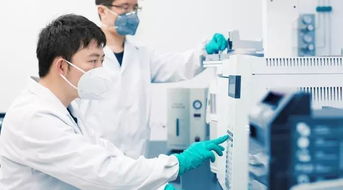 评判肾功能好不好，这个关键指标需长期关注